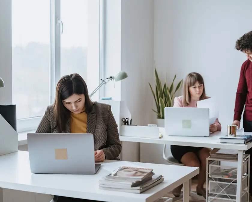 Collega's werken met laptops aan witte bureaus in een licht, modern klein kantoor