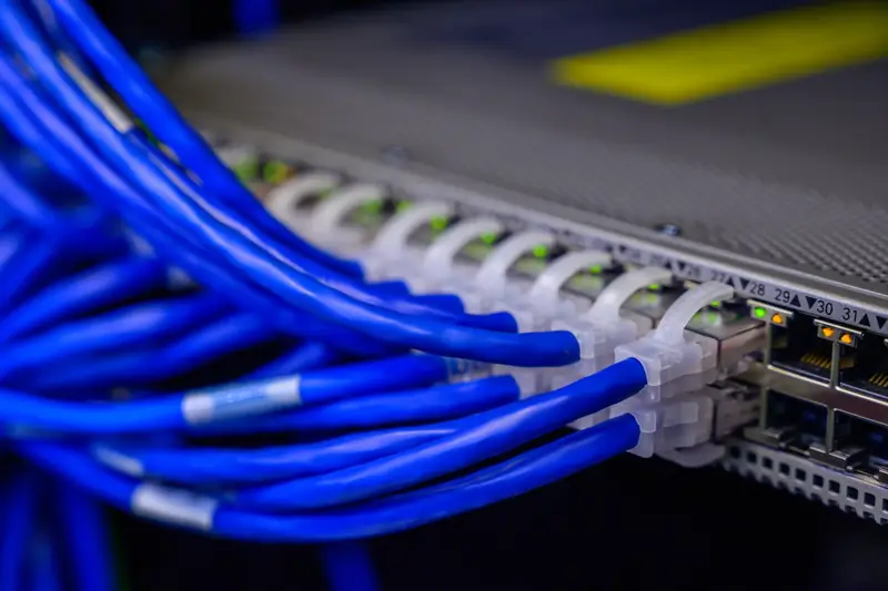 Blauwe netwerkkabels ingeplugd in een professionele netwerkswitch